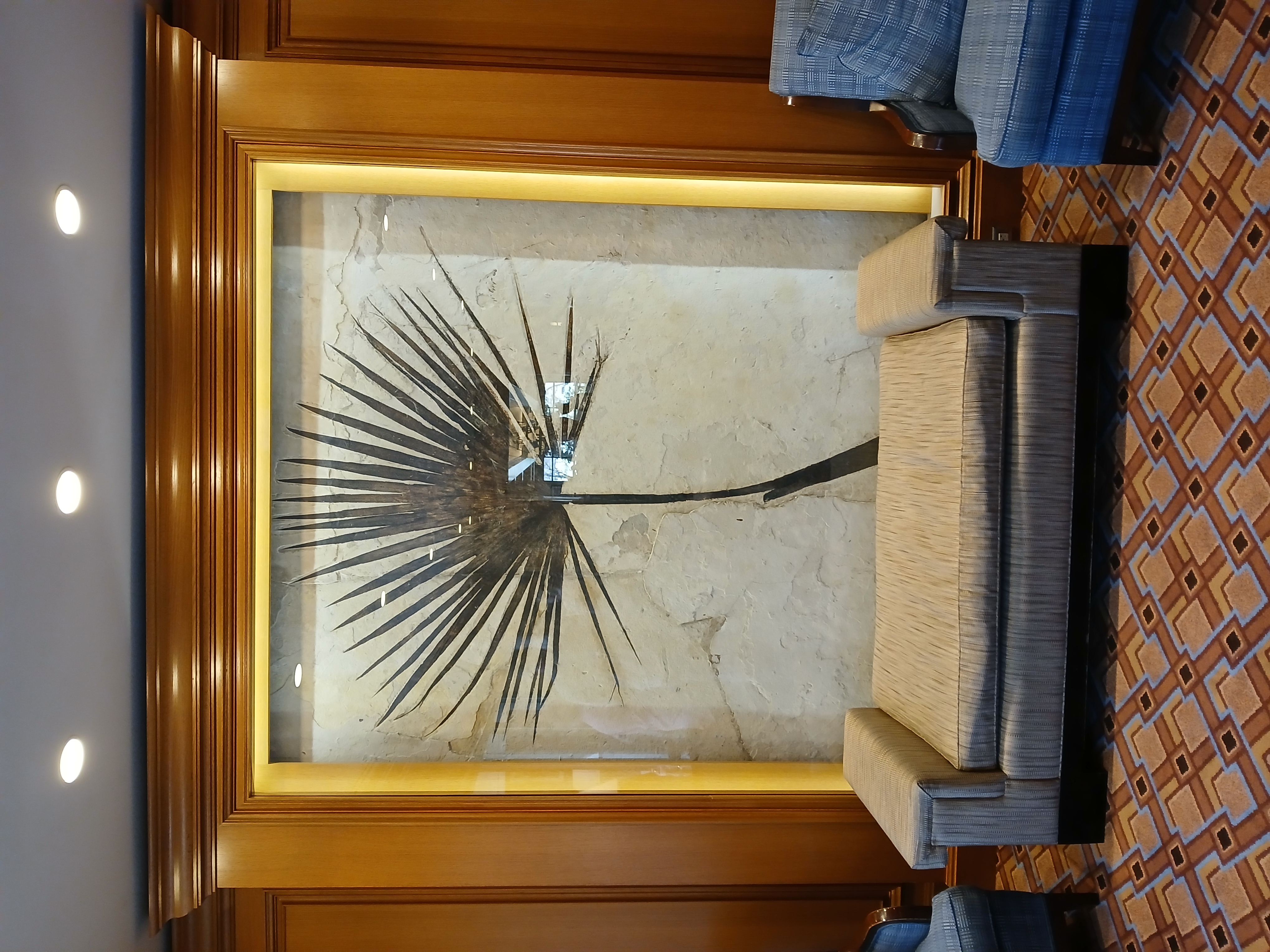 Image of the Little America Hotel palm frond